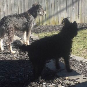 Meet your Posher, Barbara